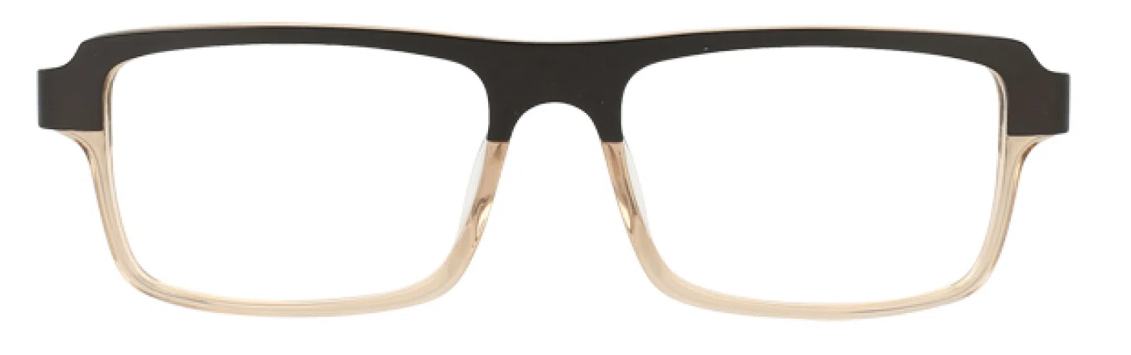 Randy Jackson RJX147 Eyeglasses - view 9